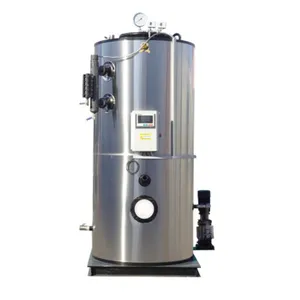 Mini Automatic LHS LSS Vertical 50Kg 0.7Mpa Gas and Oil Steam Generator Small Steam Boiler