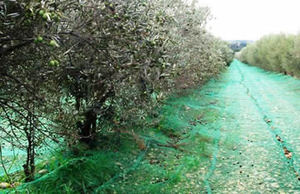 <span class=keywords><strong>Mono</strong></span> Ojales metálicos agrícolas que caen fruta recoger aceituna cosecha redes para árboles frutales malla cuadrada - Product Image 3
