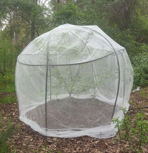 Cà tím phát triển vải lưới 40 lưới ánh sáng trọng lượng côn trùng Túi Net, nóng bán giá rẻ trái cây bao gồm túi bán buôn cocopeat phát triển Túi - Product Image 5