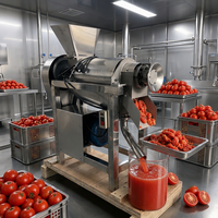 Presse-agrumes industriel à vis pour tomates, citrons et citrons verts, machine à jus lente commerciale de haute qualité pour carottes, en acier inoxydable 1200W