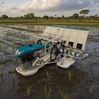 Transplanteuses de riz manuelles à manivelle, 6 rangs, espacement de 300 mm entre les lignes, pour une plantation uniforme et un espacement régulier, vente en gros OEM ODM