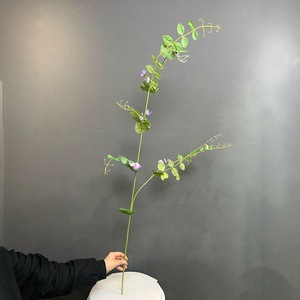 <span class=keywords><strong>Fiori</strong></span> Artificiali Realistici di Pisello Dolce in Tessuto, Decorazione Floreale di Alta Qualità Fatta <span class=keywords><strong>a</strong></span> Mano, Ornamento da Terra, Accessorio Fotografico per Ingresso e Tavolo da Pranzo - Product Image 4