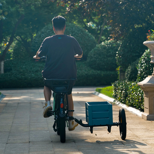 Step Through City Ebike Sidecar Cheap Price Seat Side <b>Car</b> 250w for Sale Pundarika Step Through City Ebike Side - Product Image 5