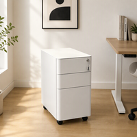 Armoire de classement mobile contemporaine en métal, antistatique, ignifuge, avec tiroirs, pour bureau, rangement sous le bureau