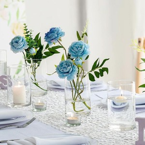 Fourniture de <span class=keywords><strong>vase</strong></span> à <span class=keywords><strong>bougie</strong></span> en verre à cylindre clair décoratif moderne et classique Offre Spéciale pour fleurs maison déco salon - Product Image 5