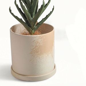 Home Decor Garden Supplies Indoor Outdoor Succulent Green Plant Matte Colorful <b>Mini</b> Planter Ceramic Flower Pots - Product Image 3