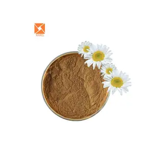 Factory supply Feverfew Flower Extract Feverfew extract Tanacetum parthenium extract