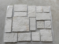 Pavé aléatoire en grès ivoire durable au design original pour projets de construction extérieure