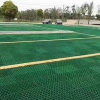 Grilles de pavage en plastique modernes pour le gazon des parcs et le drainage du gravier, utilisation extérieure