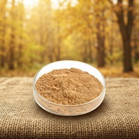 Poudre d'extrait de feuille de Ginkgo Biloba de qualité alimentaire pure Jianfeng, 24 % de flavonoïdes, en sachet en aluminium, produits de santé