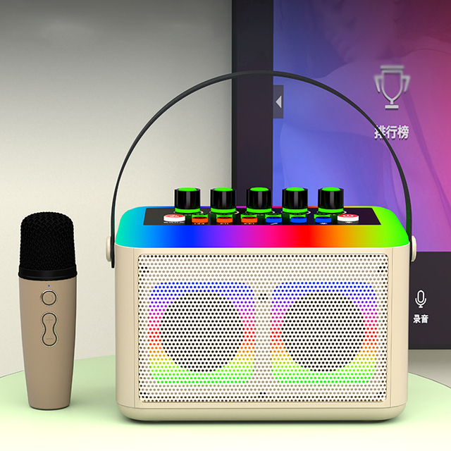 Microphone Speaker and USB Studio Sound Cards Music Box Karaoke Set with External Audio Interface and Mixers Bar Recording
