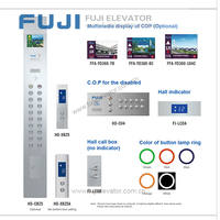 Ascenseur domestique compact Nantongfuji, ascenseur résidentiel pour passagers, entraînement sans engrenage AC, acier inoxydable