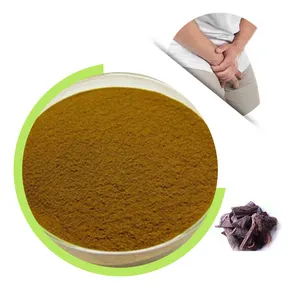 Reines natürliches Prunus Africana Bark Extract Pulver mit Phyt osterol