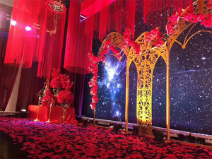 Tenda a Frange con Nappe per Decorazioni da Soffitto, Porta, Finestra, Parete, <span class=keywords><strong>Cucina</strong></span>, Casa, Divisorio per Stanze, Ideale per Matrimoni <span class=keywords><strong>e</strong></span> Hotel - Product Image 6