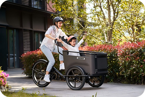 Bicicleta Holandesa Bakfiets de 3 Ruedas, Aluminio, Familiar, Disponible en Almacén de la UE, UB9031E, Sistema de 8 Velocidades, Cambio Suave, UB-9031 - Product Image 2
