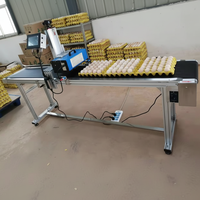 Imprimante jet d'encre automatique pour coquilles d'œufs XP600, nouvelle pour ligne de production d'œufs, avec encre de qualité alimentaire et codage de date/logo/lot