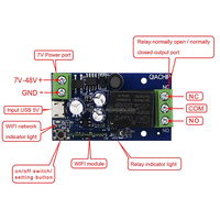 Interruptor Inteligente Wifi EweLink, DC 7V 12V 24V 48V USB 5V, Módulo de Relé de Contacto Seco, Temporizador, Control por Voz, Compatible con Alexa y Google Home