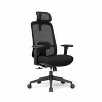 Chaise de bureau ergonomique réglable en hauteur avec support lombaire et accoudoirs fixes pour une utilisation dans le bureau