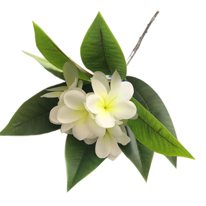 Nouvelle Arrivée Fleur de Plumeria Imprimée en 3D Réaliste avec <span class=keywords><strong>Tige</strong></span> Flexible - Plante Écologique au Toucher Réel pour Vase de Mariage et Décoration de Table - Product Image 1
