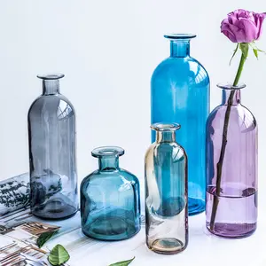 गिलास फूलदान कमरे में रहने वाले के लिए सूखे फूल नॉर्डिक छोटे फूलदान ग्लास पारदर्शी Vases गृह सजावट