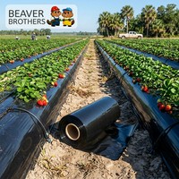 Film plastique agricole noir en PE pour agriculture commerciale, rouleau de 115 cm x 72 cm, transparent, lisse et rigide