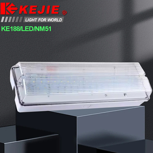 Dẫn khẩn cấp vách ngăn bán buôn IP65 không thấm nước dẫn khẩn cấp vách ngăn trong nhà & Ngoài trời 8W 220V CE dẫn khẩn cấp vách ngăn thoát - Product Image 6