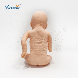 การพยาบาลผ่านหลอดลมระบบทางเดินหายใจของทารกขั้นสูงพร้อม PVC เป็นมิตรกับสิ่งแวดล้อมและโครงสร้างทางกายวิภาคโดยละเอียด - Product Image 5