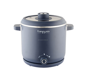 전기 냄비 1.8L 미니 전기 요리 냄비 찜통 급속 라면 국수 밥솥 수프 죽 - Product Image 1