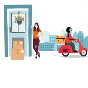 Livraison express de Jaipur au Royaume-Uni, frais de douane payés, transport aérien porte-à-porte, assurance, assistance 24h/24 et 7j/7, responsabilité de l'acheteur, CSB-5 disponible - Product Image 5