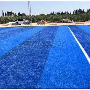 足球足球场用蓝色合成草彩色人造草皮