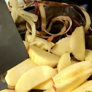 Machine à peler les agrumes de comptoir professionnelle, petite, pour citrons, pommes, kiwis, avec moteur, 110V/220V/380V, garantie 2 ans - Product Image 1