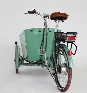 <span class=keywords><strong>Porte</strong></span> ouverte avant pour <span class=keywords><strong>chien</strong></span> Take Dog Vélo à trois roues Vélo cargo électrique Vélo cargo de livraison - Product Image 6