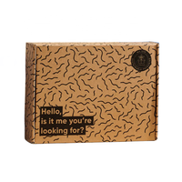 Logo personnalisé imprimé recyclable boîte d'expédition postale Rectangle serrure d'oreille emballage en papier carton ondulé avec estampage