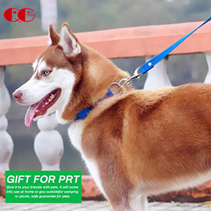 Kait jepret baut ganda ujung ganda 316 baja tahan karat standar laut pelatuk kancing klip logam untuk Aksesori hewan peliharaan menyelam - Product Image 4