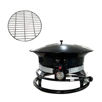 Brasero à gaz extérieur en acier inoxydable avec couvercle, chauffage au propane portable 1000W à allumage par impulsions, fourni par une usine moderne