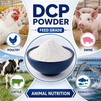 Phosphate dicalcique (DCP) en poudre de qualité alimentaire pour l'alimentation des volailles, des porcs et des bovins, disponible en vrac depuis l'entrepôt américain