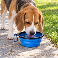 Bol pliable pour chien, portable, pliable, pour voyage, nourriture et eau, avec mousqueton, TPE ABS, 350 ml, 1000 ml