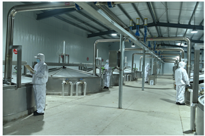 เจลาตินคอลลาเจนปลาฮาลาล-แหล่งที่ยั่งยืนสำหรับผลิตภัณฑ์ดูแลผิวและสุขภาพ - Product Image 5