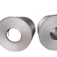 Venta caliente celda de combustible de hidrógeno placa bipolar TA1 laminado en frío 0,1mm hojas de titanio