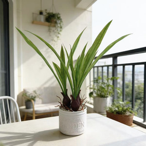 Plante artificielle Paulon en pot de 34 cm, en plastique vert, pour décoration intérieure et extérieure, pot de fleurs pour balcon, salon, chambre - Product Image 1