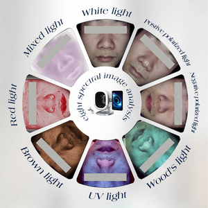 Analyseur de beauté intelligent AI 2-en-1 professionnel pour la peau, les cheveux et le cuir chevelu, 19 langues, avec matériau ABS - Product Image 3
