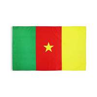 Gahumi Drapeaux nationaux camerounais suspendus 3x5ft à l'extérieur du pays personnalisé Drapeau du Cameroun Bannière