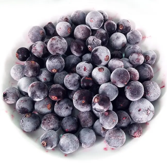 New corp Top quality good price IQF frozen Black currant Frozen Fruits