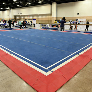 <span class=keywords><strong>Tapis</strong></span> de sol pour exercices de gymnastique rythmique, norme FIG, 14m*14m, 12m x 12m, <span class=keywords><strong>Gymnova</strong></span> - Product Image 1