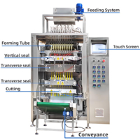 Machine de remplissage haute vitesse en acier inoxydable 304 à 10 voies pour liquides, scellage arrière, pour sauce chocolat, sachet stick, miel