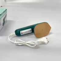 Mini fer à vapeur pour vêtements vapeur pour vêtements vapeur Micro vapeur vapeur portable Support repassage sec et humide pour les voyages à domicile