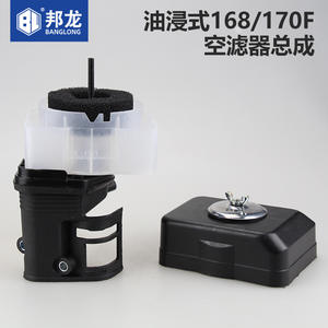 Conjunto de Filtro de Aire para Motor de Gasolina 168F/170F/188F, Piezas de Repuesto para Bomba de Agua, Sumergido en Aceite - Product Image 5