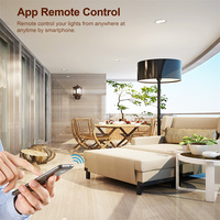Module de gradation intelligent 2CH Mini bricolage Wifi zigbee Module de gradation de lumière LED interrupteur intelligent relais module de gradation intelligent