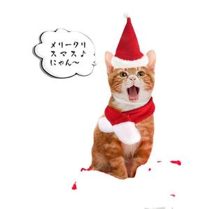 Ensemble chapeau et écharpe de Noël pour chats, chiens, petits animaux, vêtements d'hiver décoratifs pour animaux de compagnie - Product Image 3