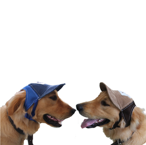 Sombrero de Viaje para Mascotas, Gorra para Perros, Gorra de Béisbol de Malla para Mascotas - Product Image 2